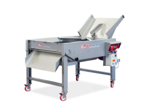 Grapesort - Seleccin automtica de uva.